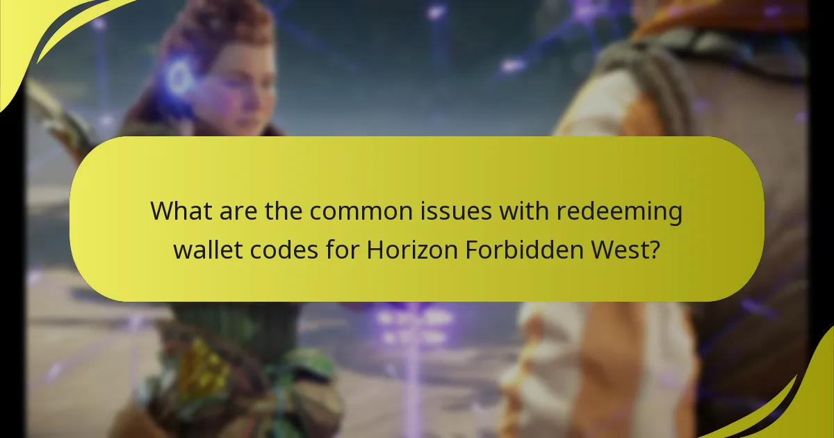 Where can I find support options for wallet code issues?