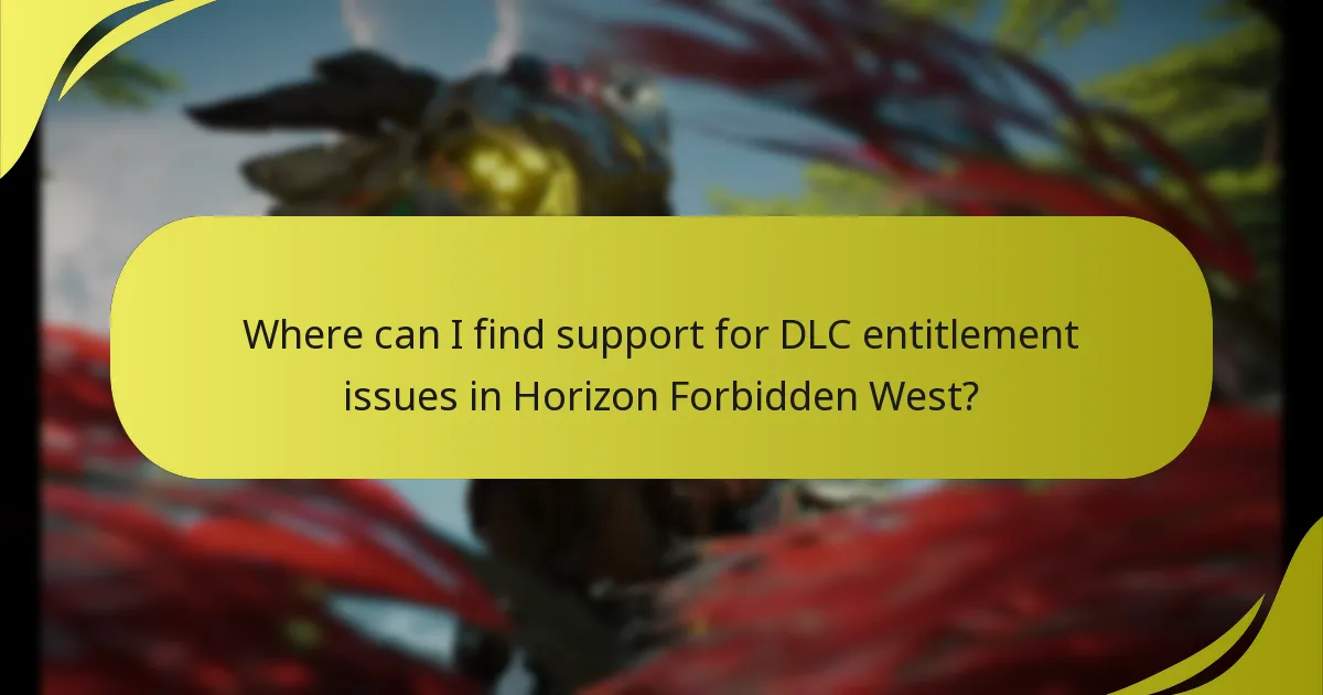 Which steps should I follow to verify my DLC purchase?